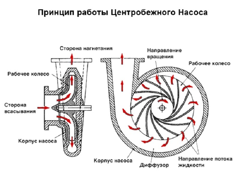 Чертеж центробежного насоса, особенности агрегата